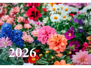 Kalendarz trójdzielny Wydawnictwo Diecezjalne - Kwiaty 2026