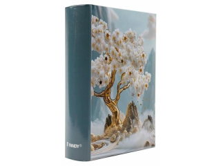 Album na zdjęcia - fotoalbum LOTMAR 10x15 - 300 szyty B-46300/2S Flow 1