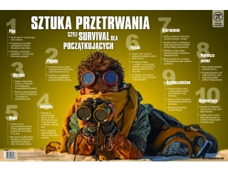 Plansza na biurko z afirmacjami SZTUKA PRZETRWANIA , rozm. 550x365 mm, Young Intellect