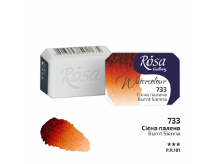 ROSA GALLERY FARBA AKWARELOWA BURNT SIENNA 733 2, 5 ML