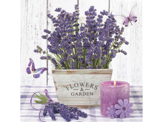 Serwetki POL-MAK Daisy Lunch 33cm 20szt. Lavender in a Wooden Pot SDOG016501 [opakowanie=24szt]