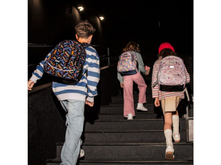 PLECAK BACKUP 8 MODEL G 76