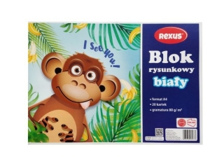 BLOK RYSUNKOWY BIAY A4/20k. [opakowanie=10szt]