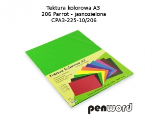 Tektura kolorowa PENWORD A3 10ark - zielona jasna