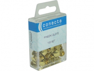 PINEZKA ZOTA A100SZT