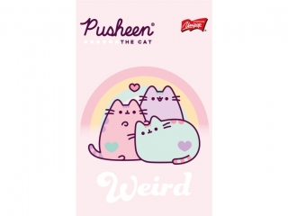 Notes A6, 50 k., krata, PUSHEEN