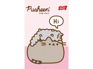 Notes A6, 50 k., krata, PUSHEEN