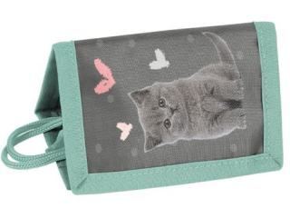 Portfel PASO LOVELY CAT PP26CS-002 12x8, 5x1