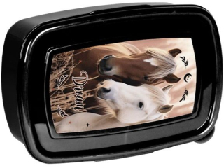 Bidon PASO HORSES PP26HR-3030 19x7x7