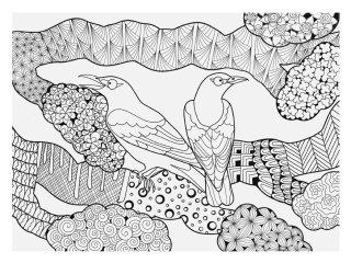 Kolorowanka antystresowa Ptaki A5
