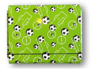 PENMATE TECZKA �AMANA A5 NA GUMK� T 0130/1 BOISKO FOLIA B�YSK