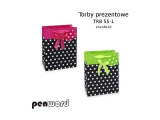 TORBY PREZENTOWE TRB 55-1 23x18x10  [opakowanie=12szt](SZPSH)