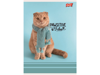 Zeszyt A5 32 kartki linia dwukolorowa ok�adka laminowana lakier miejscowy UV 70 g/m2 PAWSITIVE VIBES [opakowanie=15szt]