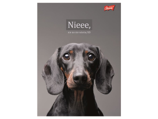 Zeszyt A4 60 kartek krata ok�adka laminowana lakier miejscowy UV 70 g/m2 DOGGY MOODS [opakowanie=10szt]