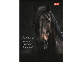 Zeszyt A5 60 kartek linia ok�adka laminowana lakier miejscowy UV 70 g/m2 WILD HEART [opakowanie=10szt]