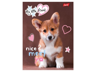 Zeszyt A4 32 kartki krata ok�adka laminowana 70 g/m2 MY LITTLE FRIEND [opakowanie=15szt]