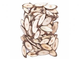 MINI PLASTRY DREWNA, 25 G [opakowanie=6szt] NZWR-DLP