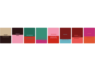 ZESZYT A5/60k. Kratka / CYTATY [opakowanie=5szt]