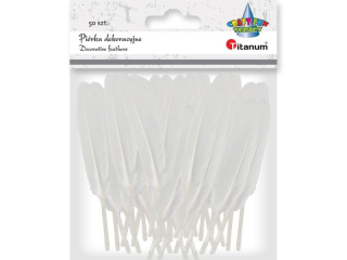 Pirka dekoracyjne lotki 10-15cm 50szt. biae