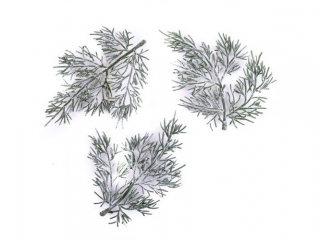 GA��ZKI TUI 13 CM, 3 SZT. [opakowanie=6szt] BN-DLP