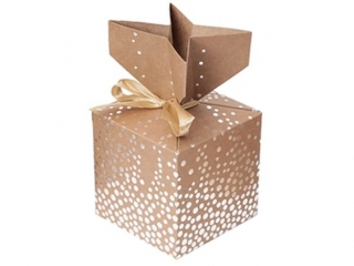 PUDEKA SKADANE CANDY BOX, 10X10 CM SREBRNE KROPKI, 2 SZT.