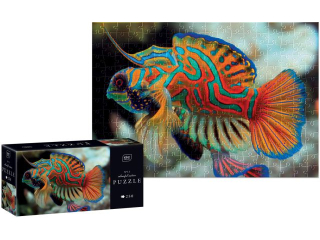Puzzle 250 Colourf.Nature 11Mandarinfish