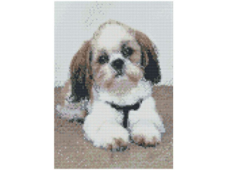 MOZAIKA DIAMENTOWA 30x40 cm, PIONOWA, WZÓR: SHIH TZU FLAMINGO LINE