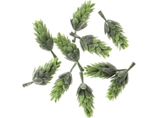 MINI KARCZOCHY, 10 SZT. [opakowanie=6szt] NZWR-DLP