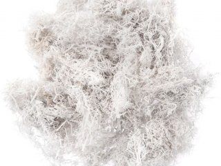 MECH BIAY, 30G