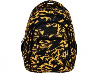 PLECAK BACKUP 6 MODEL O 42