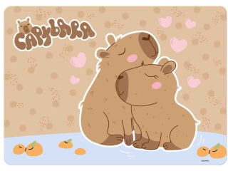 PODK�ADKA LAMINOWANA KAPIBARA 10 [opakowanie=10szt]