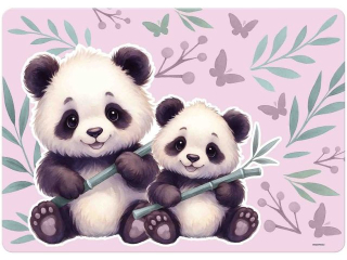 PODK�ADKA LAMINOWANA PANDA 11 [opakowanie=10szt]