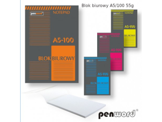 BLOK BIUROWY A5/100 55G [opakowanie=10szt]