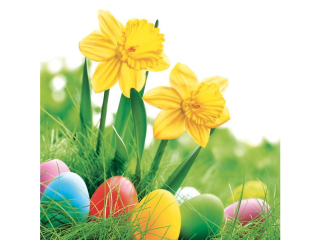 Serwetki POL-MAK Daisy Lunch 33cm 20szt. Daffodils with Colorful Eggs SD_WL_007101 [opakowanie=24szt]