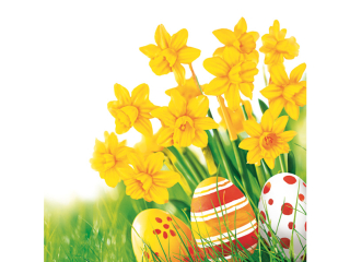 Serwetki POL-MAK Daisy Lunch 33cm 20szt. Bunch of Yellow Daffodils with Easter Eggs in Grass SD_WL_011101 [opakowanie=24szt]
