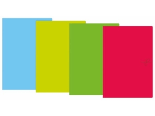 Teczka wizana A4+ INTERDRUK Fluo Mix kolor