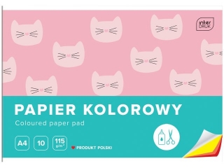 PAPIER KOLOROWY A4 10 115G[10x80