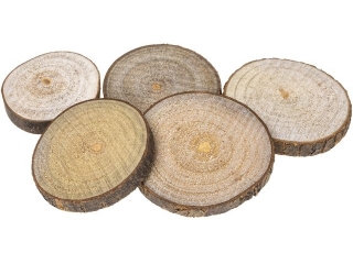 Plastry drewna rednica 4-6cm PD1