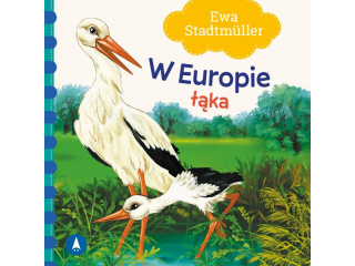 Ksieczka SKRZAT W Europie. ka - Ewa Stadtmller