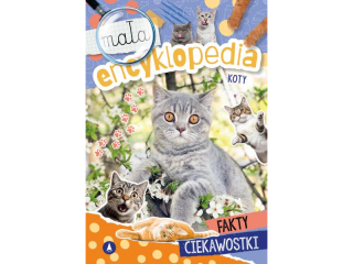 Ksieczka SKRZAT Maa encyklopedia. Koty