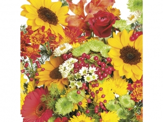 Serwetki POL-MAK Daisy Lunch 33cm 20szt. Rich Autumn Bouquet SDOG034001 [opakowanie=24szt]