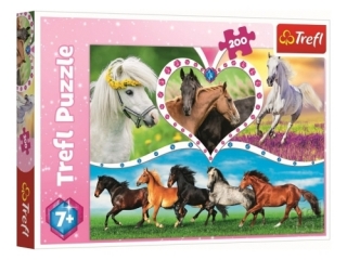 Puzzle "200 - Piêkne konie" 13248