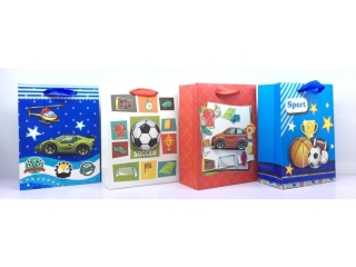 TOREBKA OZDOBNA 3D PIONOWA MAŁA / SPORT 17, 5X23, 5X8 [opako