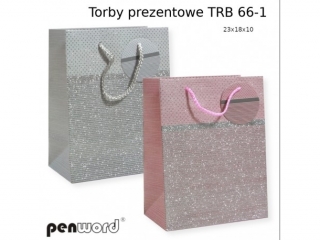 TORBY PREZENTOWE TRB 66-1 23x18x10