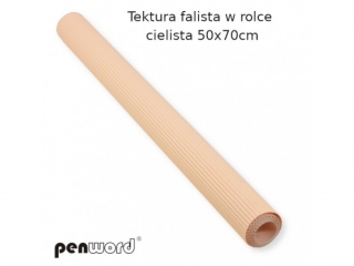 Tektura falista PENWORD w rolce 50x70cm - cielista