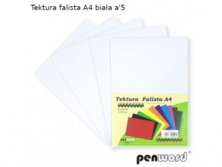 Tektura falista PENWORD A4 5ark. - biaa