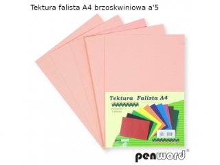 Tektura falista PENWORD A4 5ark. - brzoskwiniowa