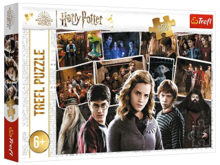 Puzzle  160 TREFL Harry Potter i przyjaciele