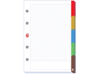 Wkad do segregatora INTERDRUK A4 50k. kratka LUX z kolorowy