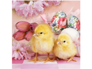 Serwetki POL-MAK Maki Lunch 33cm 20szt. Lovely Chickens among Pink SL_WL_008501 [opakowanie=12szt]